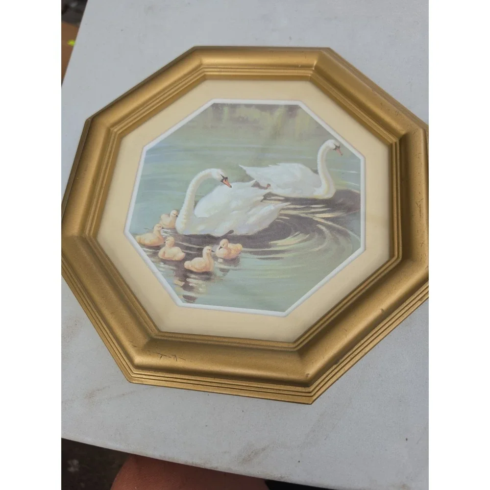 Swans , 10